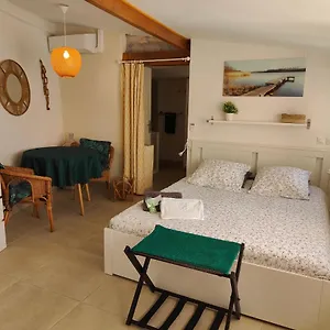  Appartement Hyper équipé à 150m D'une De Sable Fin Grande Terrasse Presqu'île De Charme France